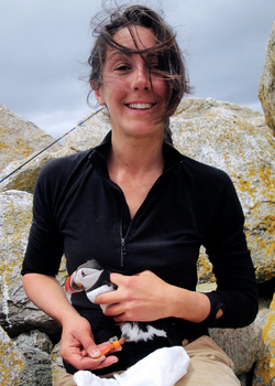 Caroline Poli with Recaptured Puffin wearing a geolocator