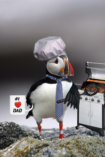 Poppa Puffin