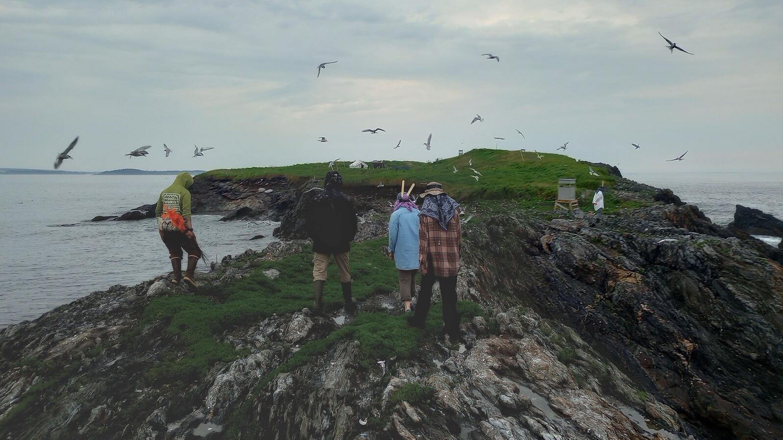 People on an island with birds overhead.