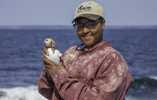 Seabird Islands | Audubon Seabird Institute