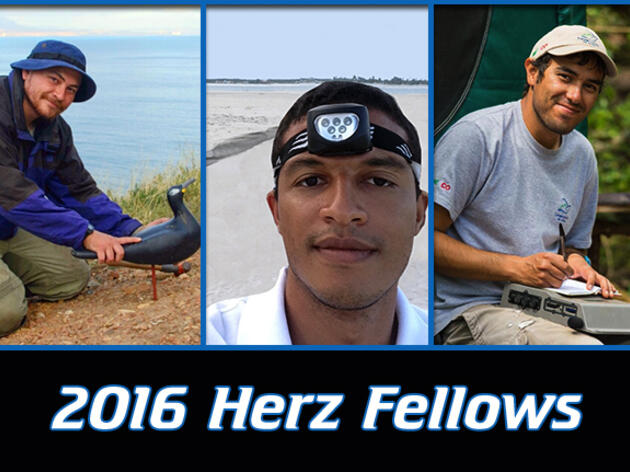 2016 Josephine Daneman Herz International Seabird Fellows