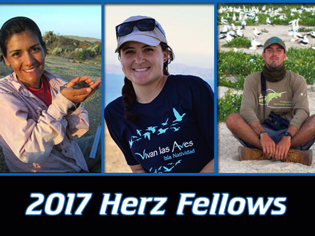 2017 Josephine Daneman Herz International Seabird Fellows