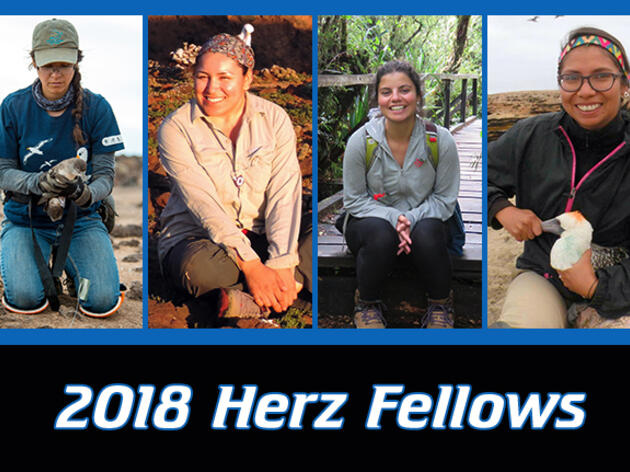 2018 Josephine Daneman Herz International Seabird Fellows