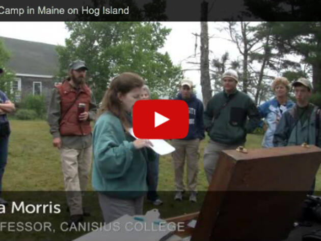 Hog Island Audubon Camp in Maine