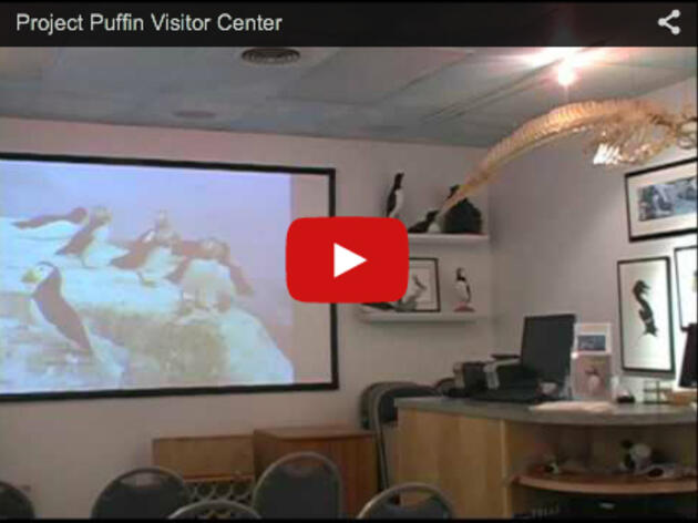 Project Puffin Visitor Center