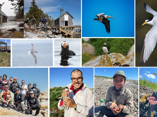 2024 Seabird Institute Year in Review