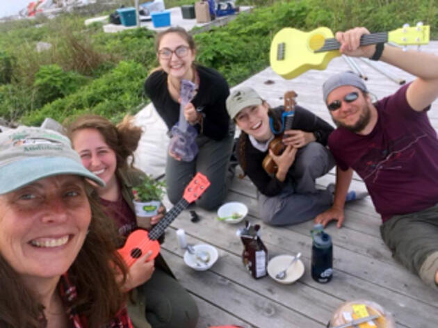 TIPS from the National Audubon Society Seabird Island Researchers