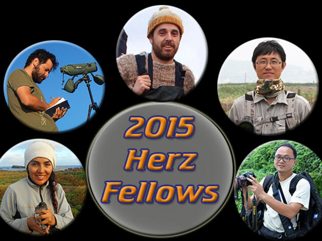 2015 Josephine Daneman Herz International Seabird Fellows