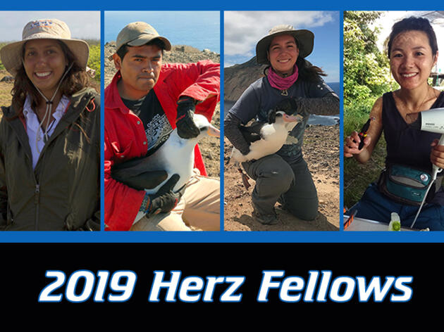 2019 Josephine Daneman Herz International Seabird Fellows