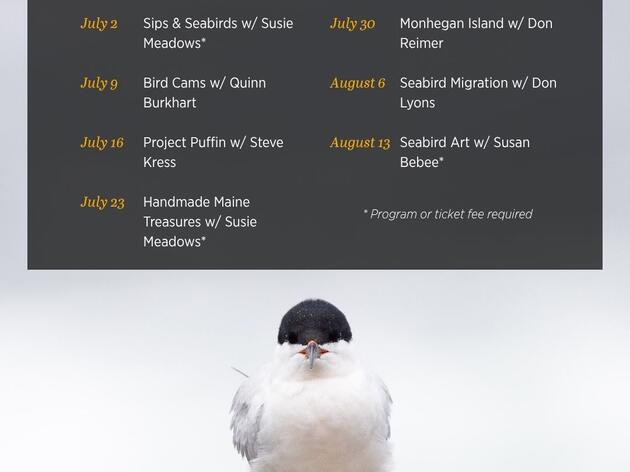 Wednesday Night Lecture Series