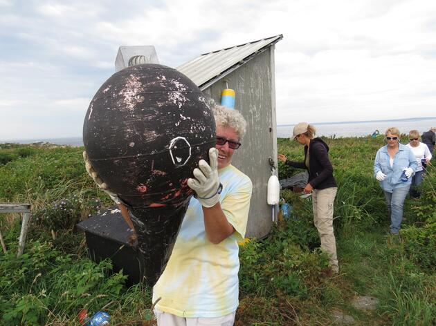 Maine Seabird Biology and Conservation