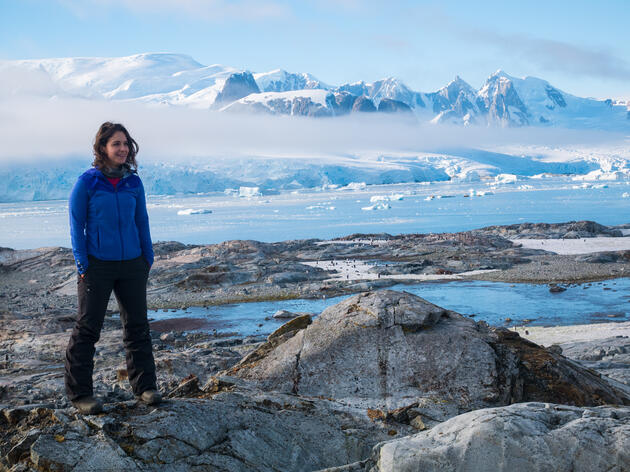 In Search of the Adelie Penguin