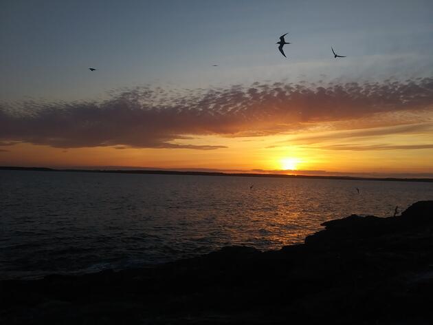 Seabird Island News - Vol. 1 - 27 May 2022