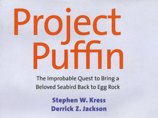 Project Puffin Story and The Puffin Plan