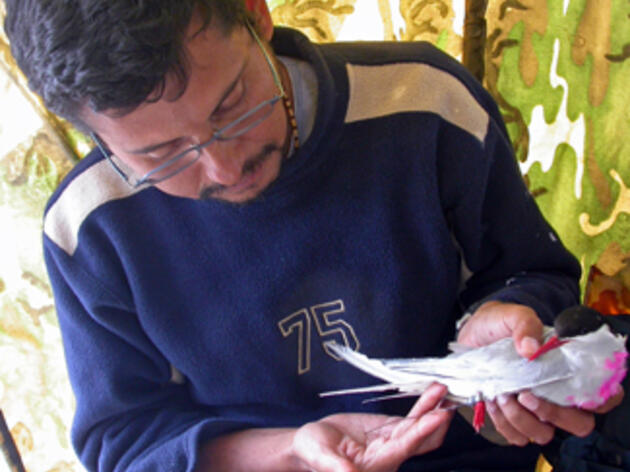 Carlos Zavalaga 2003-2005 Herz Fellow