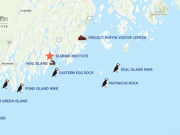 Seabird Islands