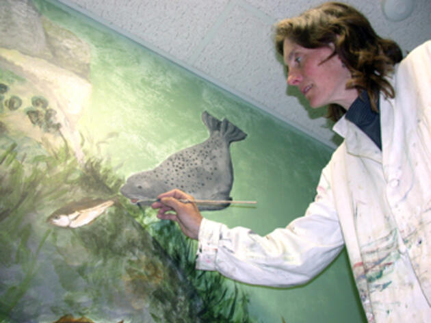 "Seabird Sue" Schubel Named Disney Conservation Hero