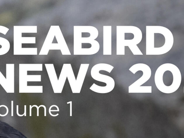 Seabird Island News - Vol. 1 - 01 May 2024