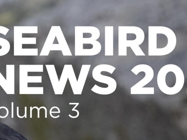 Seabird Island News - Vol. 3 - 15 May 2024