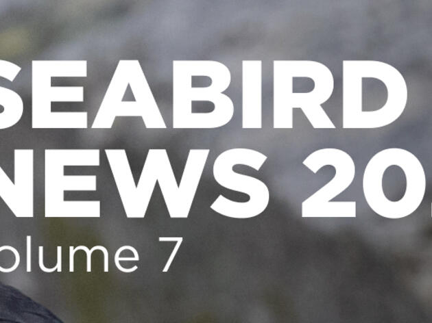Seabird Island News - Vol. 7 - 12 June 2024