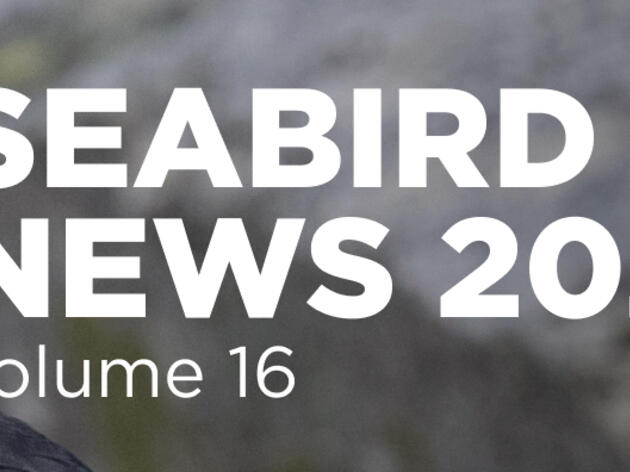 Seabird Island News - Vol. 16 - 14 August 2024