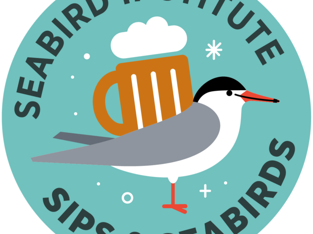 Sips & Seabirds