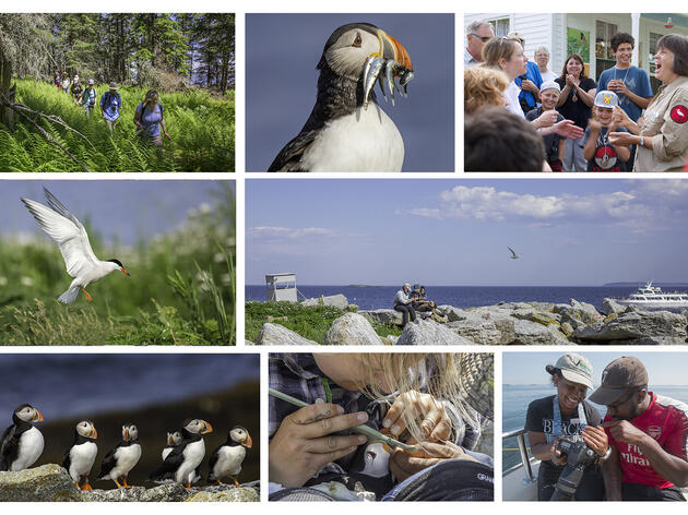 Our 2019 Work: The Seabird Restoration Program in Action