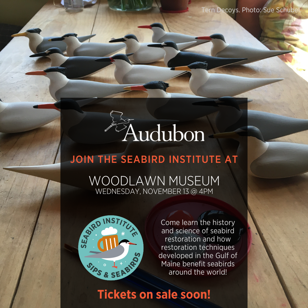 Sips and Seabirds at Black House Museum at Woodlawn, November 13, 2024 - ON SALE SOON
