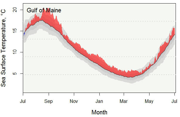 Annual Sea Surface Temperature in the Gulf of Maine