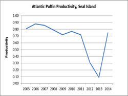 Atlantic Puffin Productivity on Seal Island