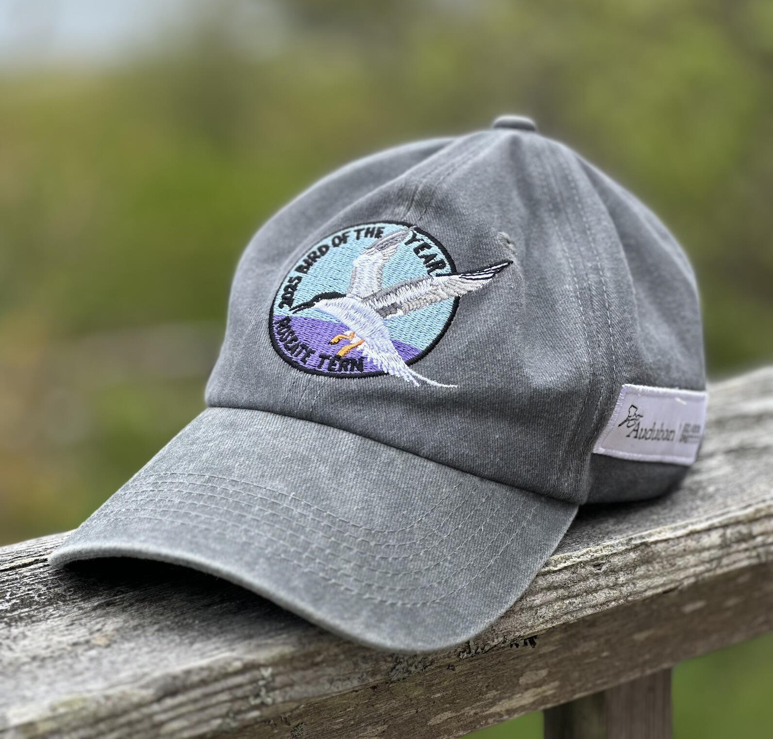 2025 Bird of the Year Hat