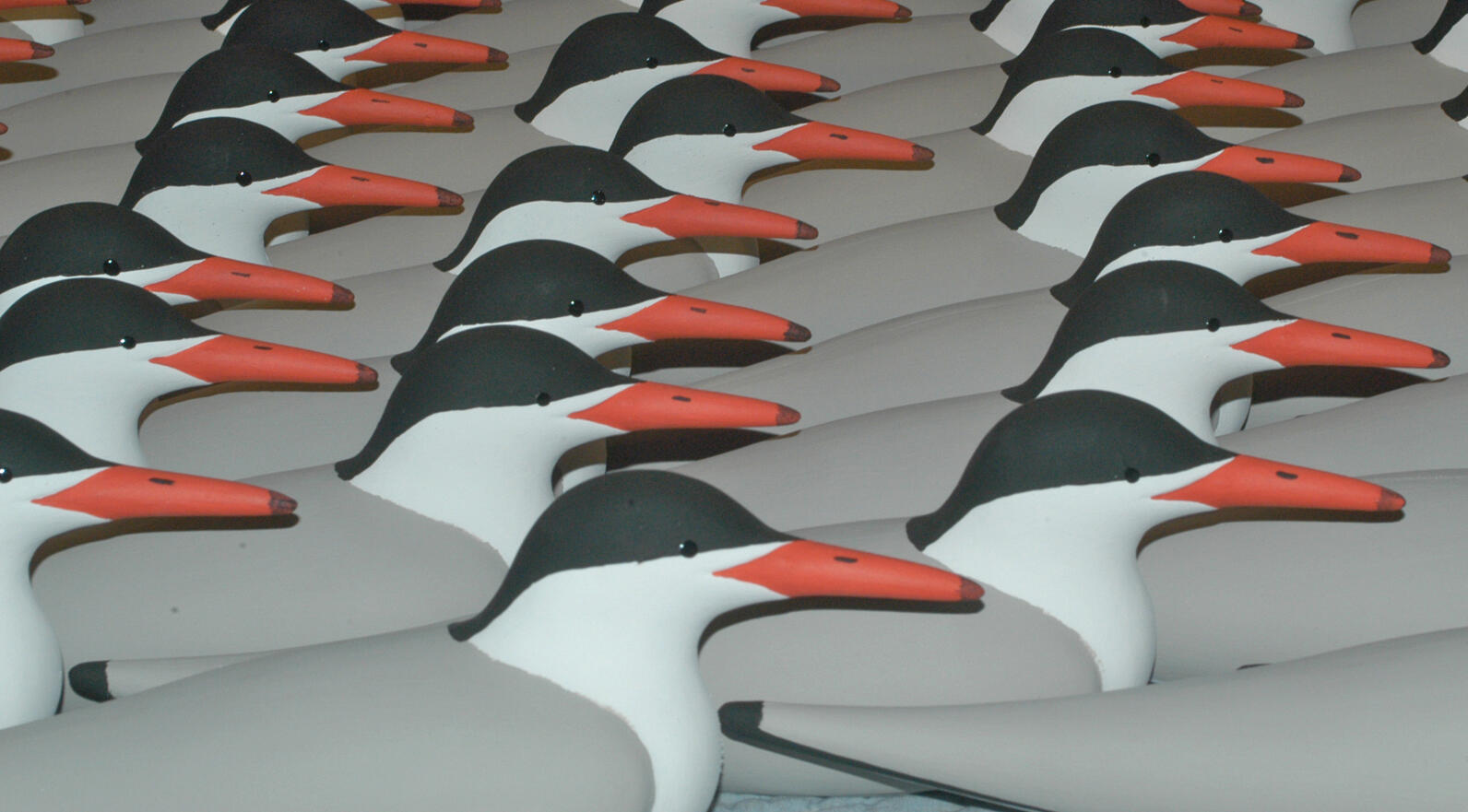 Common Tern Decoys Line Up Common Tern Decoys Line Up
