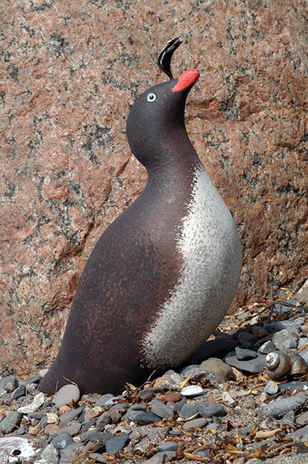 Crested Auklet Carousel