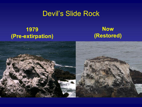Devil's Slide Rock Comparison - Then and Now Devil's Slide Rock Comparison - Then and Now