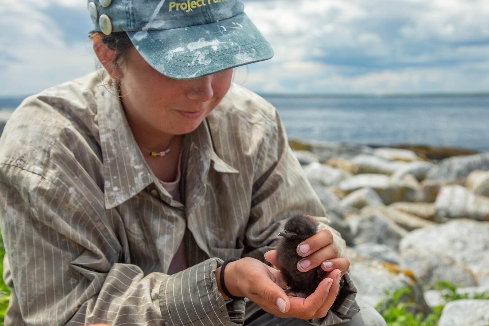 EER Researcher with Chick