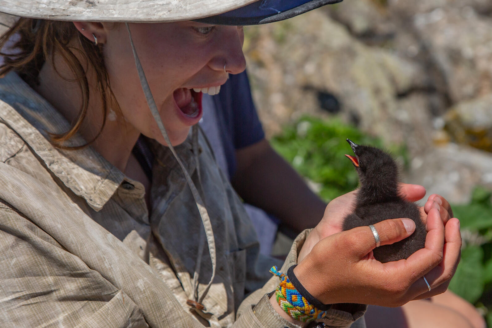 EER Researcher and Chick Find Joy