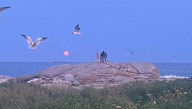 People standing on a rock under the full moon