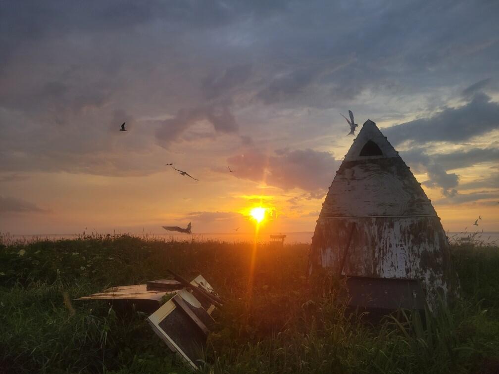 Terns and fledglings took to the skies above Eastern Egg Rock during an awe-inspiring sunset. Terns and fledglings took to the skies above Eastern Egg Rock during an awe-inspiring sunset.