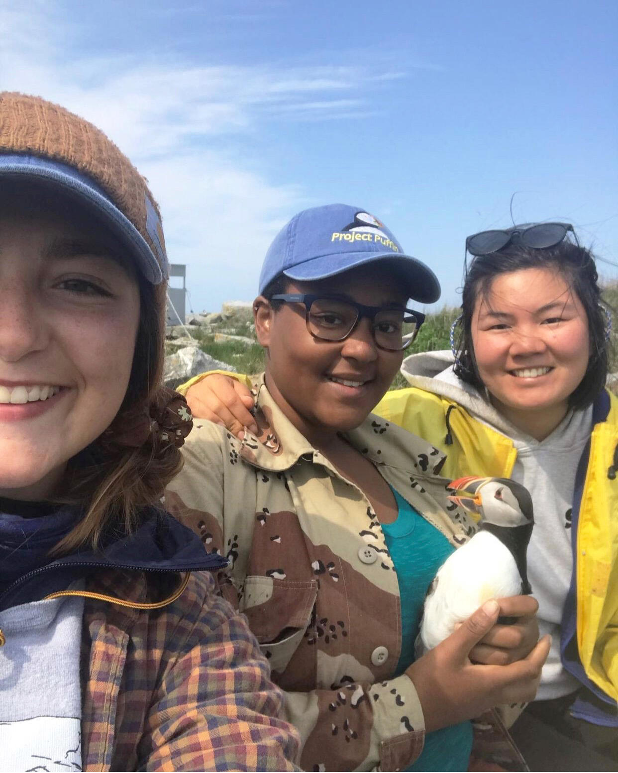 EER Puffin Banding EER Puffin Banding