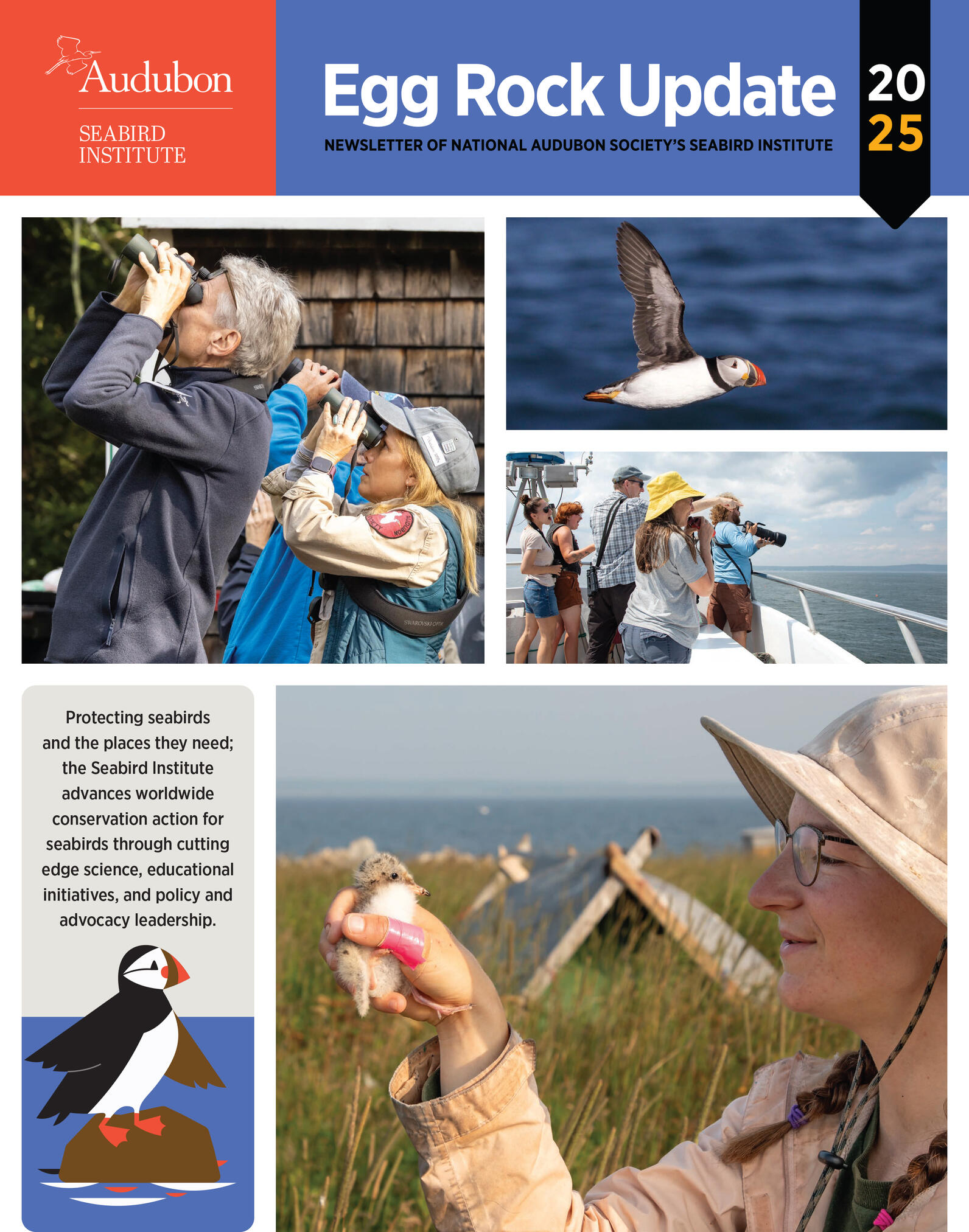 Egg Rock Update Cover 2025