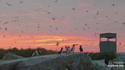 Seal Island’s spectacular sunset 