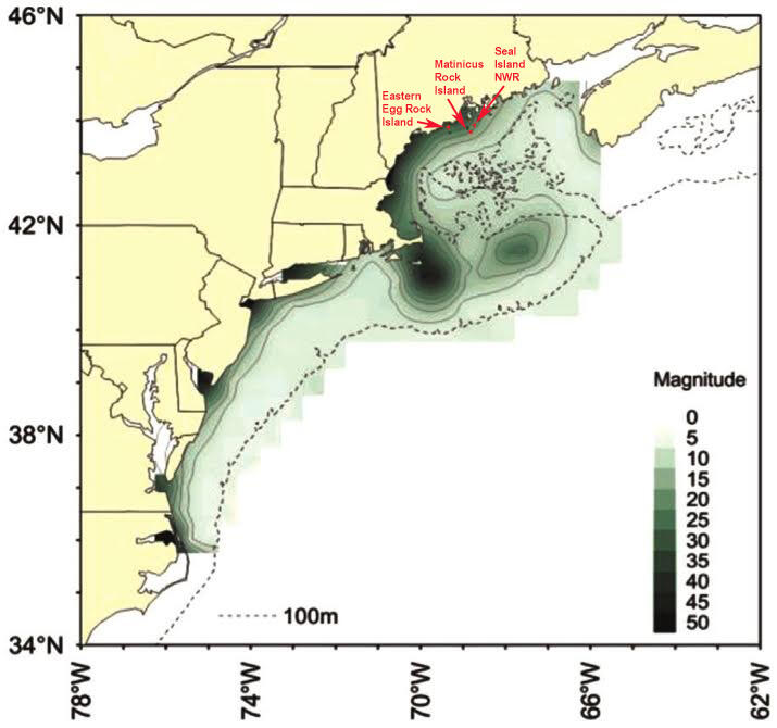 Spring Bloom Data - Maine Islands