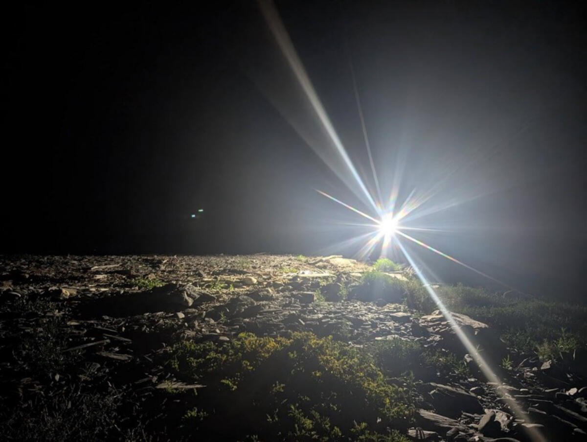 Flood Light Test on Stratton Island Flood Light Test on Stratton Island