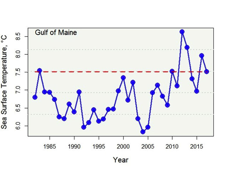 Gulf of Maine Sea Surface Temperature