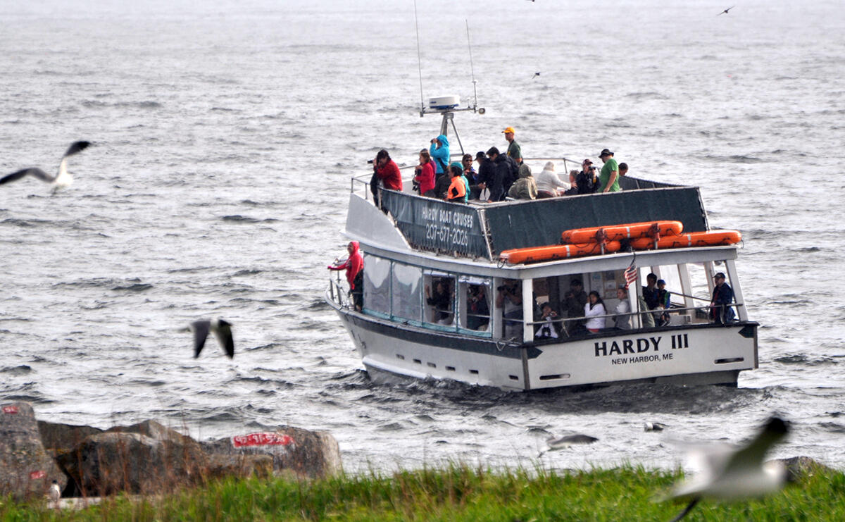 Hardy Boat