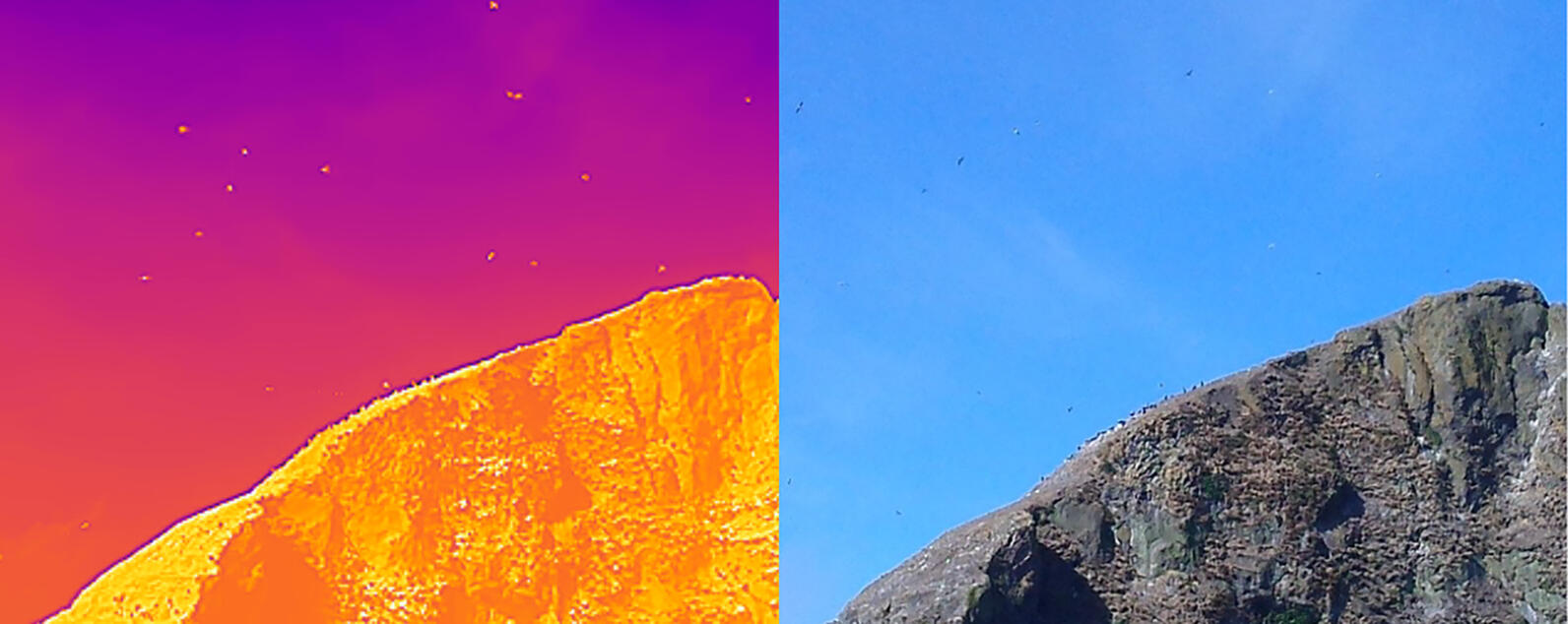 Thermal imaging of Haystack Rock with comparison Thermal imaging of Haystack Rock with comparison