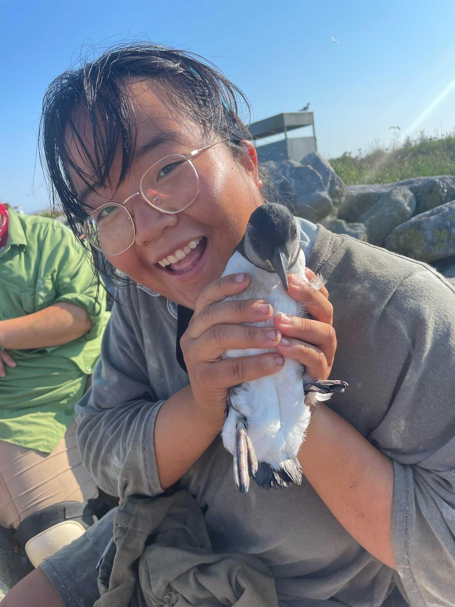 Coco from Eastern Egg Rock, with a puffling