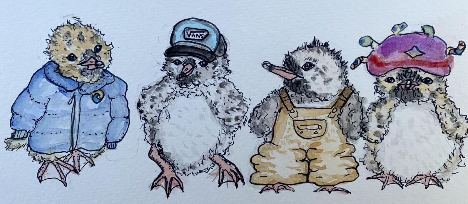 Seal Island NWR Team Caricature 2021 Seal Island NWR Team Caricature 2021