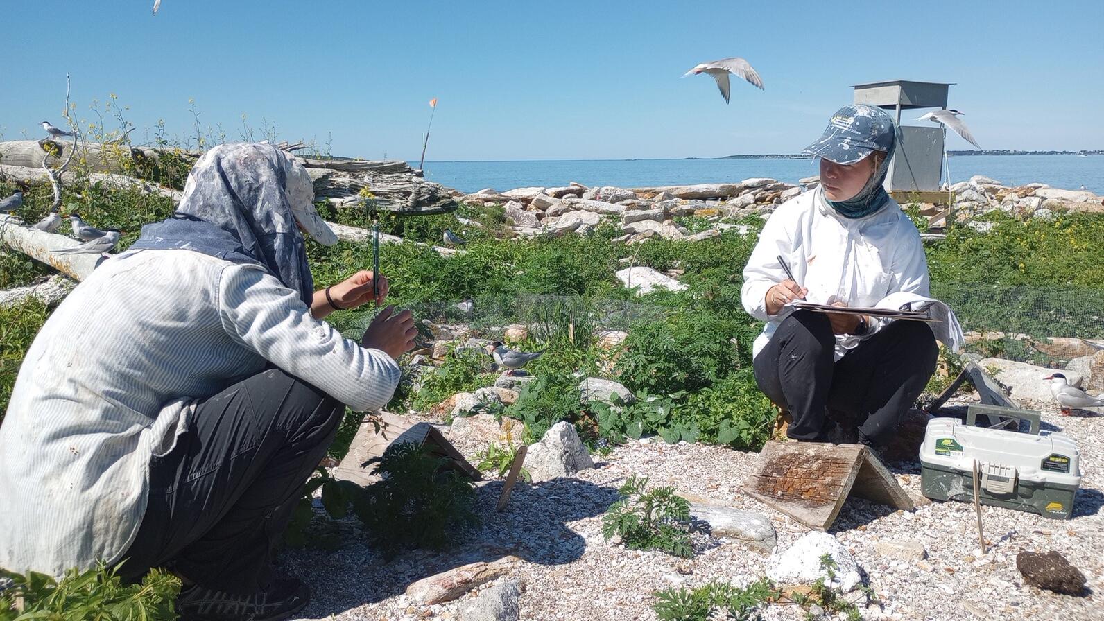 Jenny Island productivity check