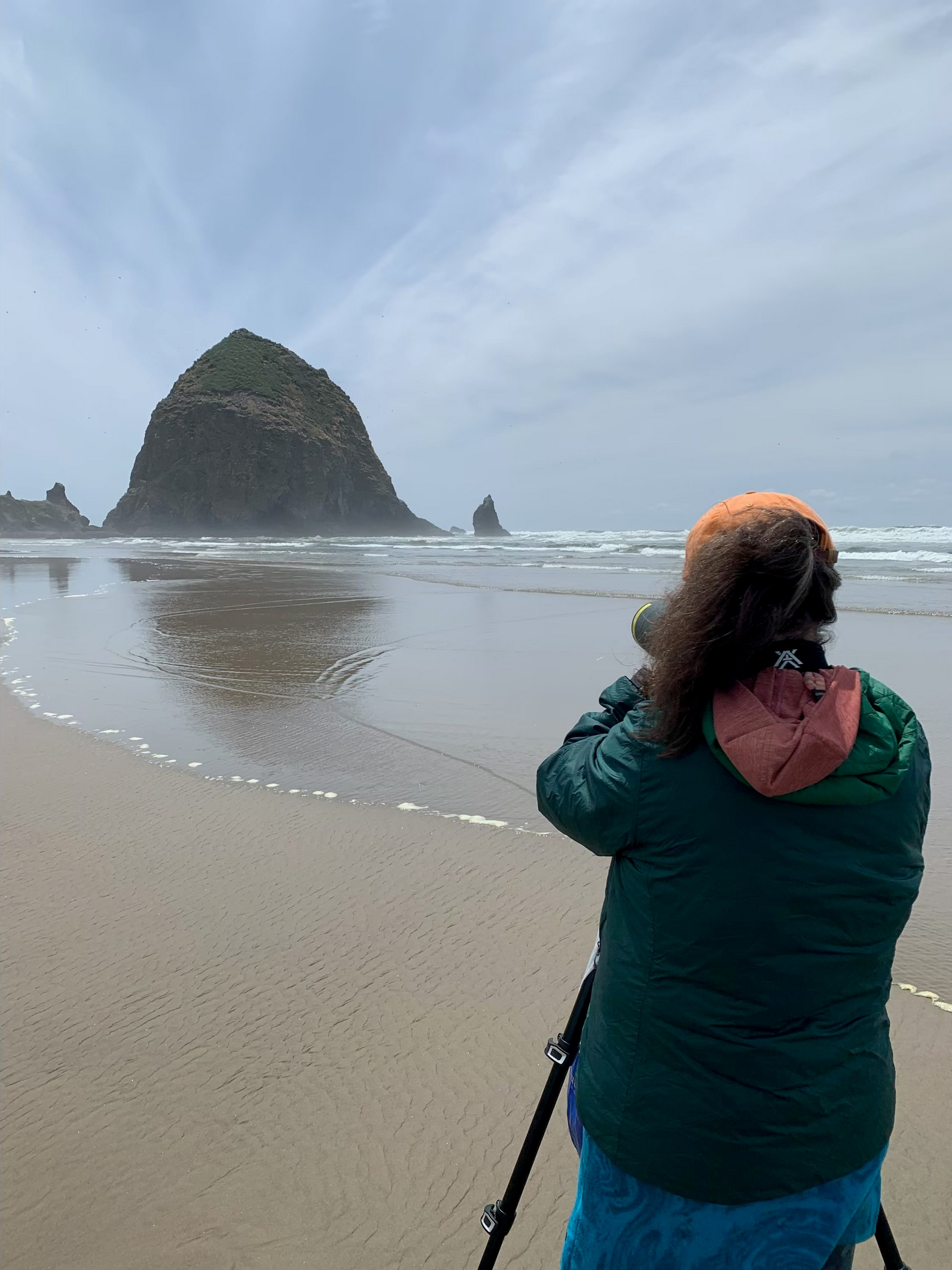 Tufted Puffin Conservation Coordinator, Katherine Luscher